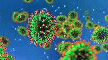 Coronavirus Updates