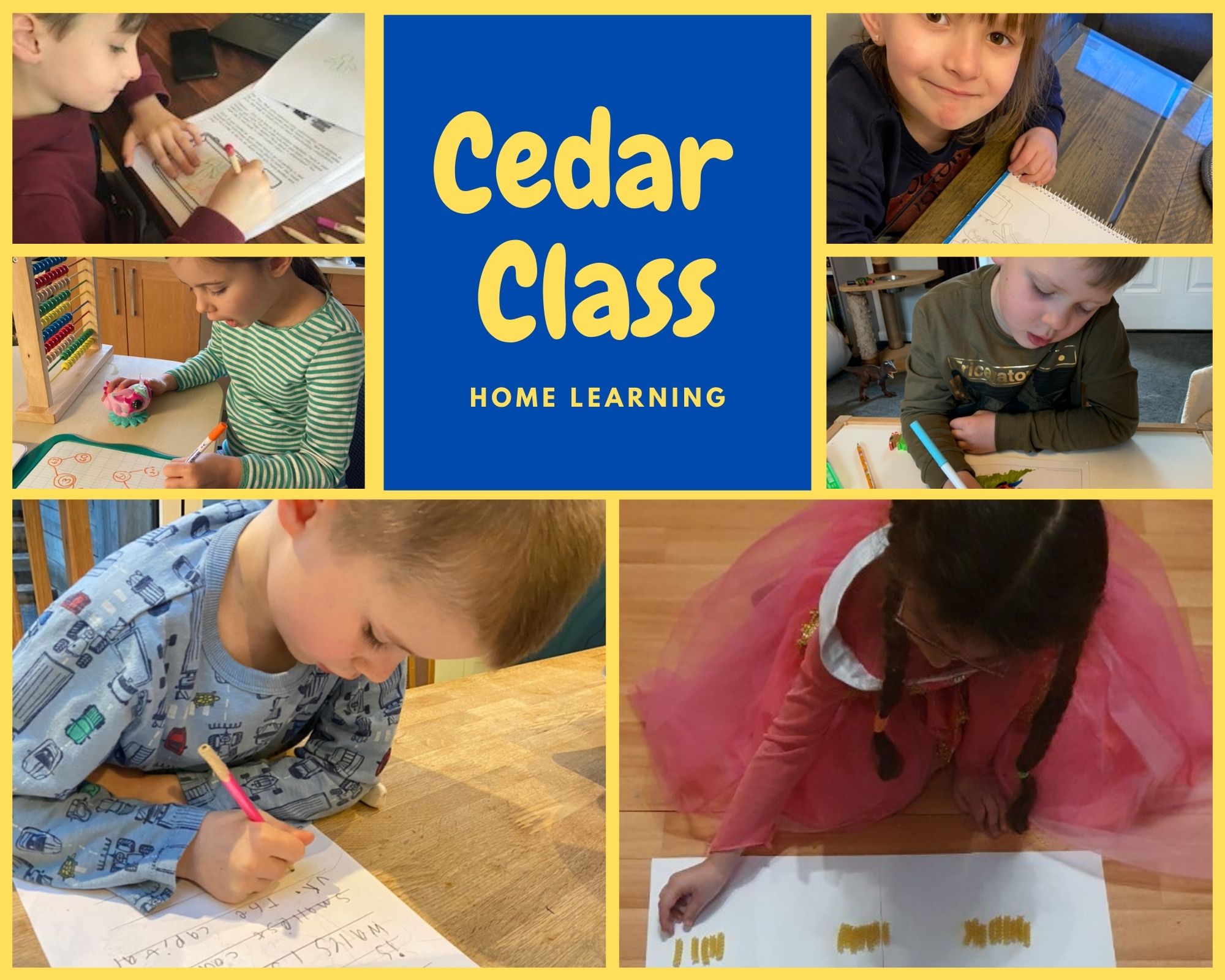 Cedar Class Home Learning